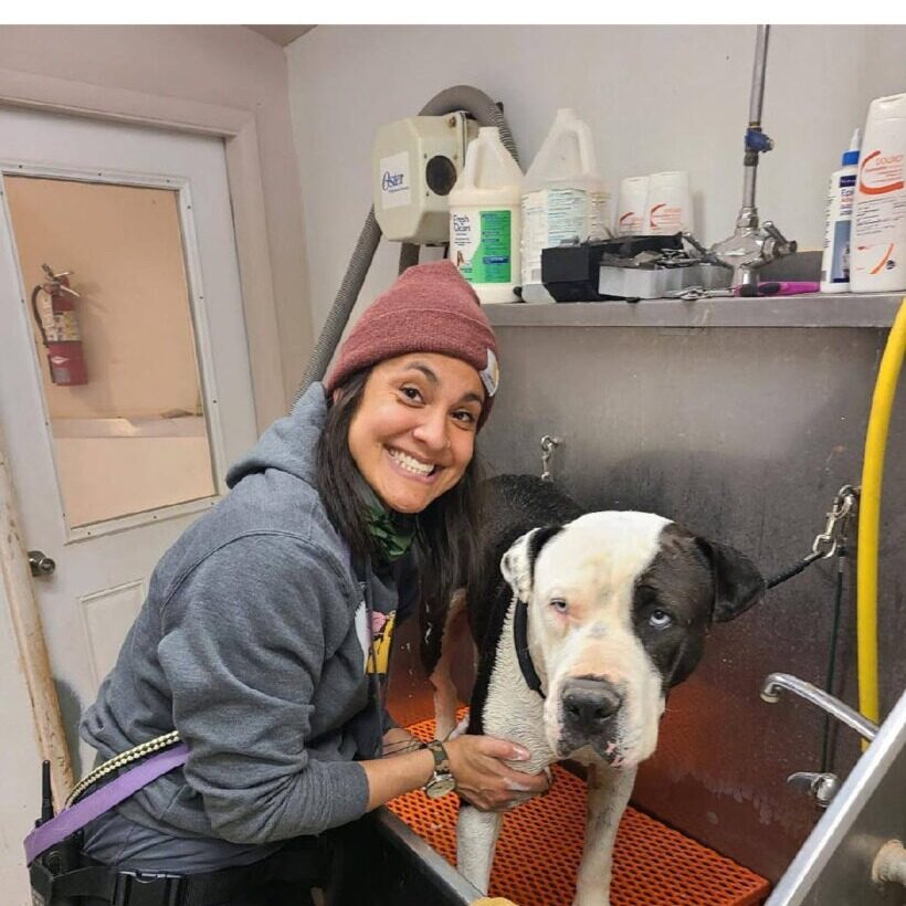 Meg, vet tech and manager